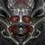 :iconstryon-br: