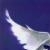 :iconstubi-zero-to-hero: