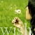:iconStuck-in-themusicbox: