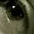 :iconstuckbehindglass: