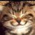 :iconstudentbydesign: