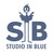 :iconstudio-in-blue: