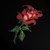 Studio-Methuselah :iconstudio-methuselah: