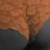 :iconstudio219: