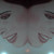 :iconstudio89gmg: