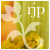 :iconstudiobe: