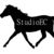 :iconstudioec: