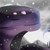 :iconstudios-of-white: