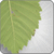 :iconstudiotwenty4:
