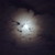 :iconstudious-artisan: