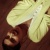 :iconstudjr203:
