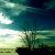 :iconstuffedanimalaffair:
