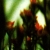 :iconstuffthatsgreen:
