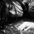 :iconstunningroses: