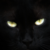 :iconstupid-humanz: