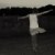 :iconstupidityabusegalore: