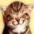 :iconstupidsheep: