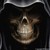 :iconsturmscharfuhrer: