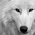 :iconsturmwoelfin: