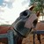 :iconstuterietpaint:
