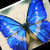 :iconstutter-cut: