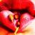 :iconstutterclick: