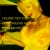 :iconstyle414: