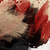 :iconstylehacker:
