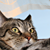 :iconstyleundklasse: