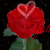 :iconstylish2: