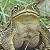 :iconstylishivan: