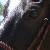 :iconstyxie-poo: