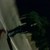 :iconsu81imin41: