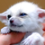 :iconsub000310: