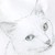 :iconsubiattack: