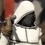 :iconsubject0018: