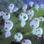 :iconsubsorrow: