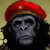 :iconsuburban86: