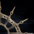 :iconsuccessionofwitches: