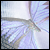 :iconsuccor: