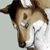 :iconsucellos: