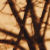:iconsuchbrightlights:
