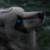 :iconsucicthewhiteshadow: