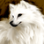 :iconsucrilhus: