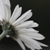 :iconsuddenlyautumn: