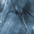 :iconsuddstv: