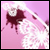 :iconsue-chan: