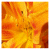 :iconsuedoise: