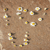 :iconsugar-n-spice: