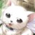 :iconsugargirl13: